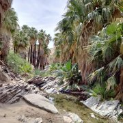 Victor-Trail-loop-in-Palm-Canyon-32