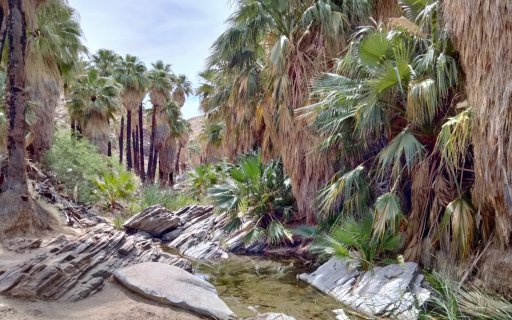 Victor-Trail-loop-in-Palm-Canyon-33
