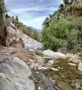 Victor-Trail-loop-in-Palm-Canyon-34