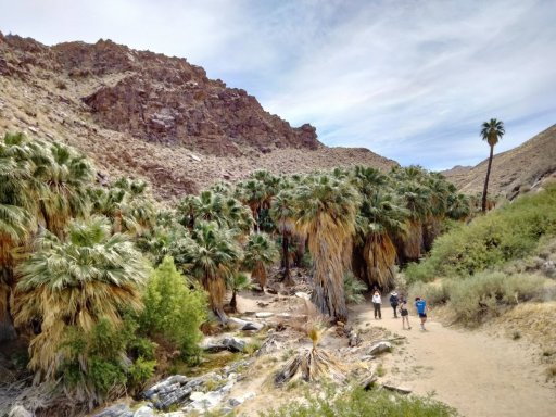 Victor-Trail-loop-in-Palm-Canyon-35