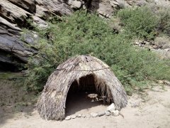 Victor-Trail-loop-in-Palm-Canyon-42