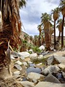 Victor-Trail-loop-in-Palm-Canyon-44