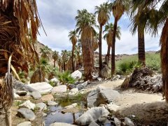 Victor-Trail-loop-in-Palm-Canyon-45