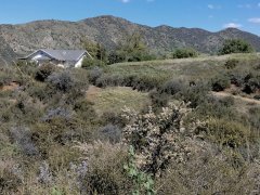 Wildwood-Canyon-09-Spring