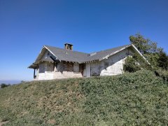 Wildwood-Canyon-12-Spring