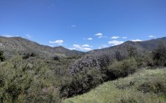 Wildwood-Canyon-14-Spring