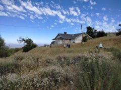 Wildwood-Canyon-19-Summer