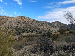 Wildwood-Canyon-24-Summer