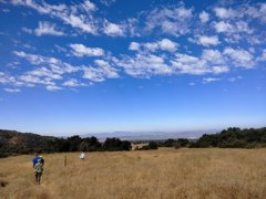 Wildwood Canyon