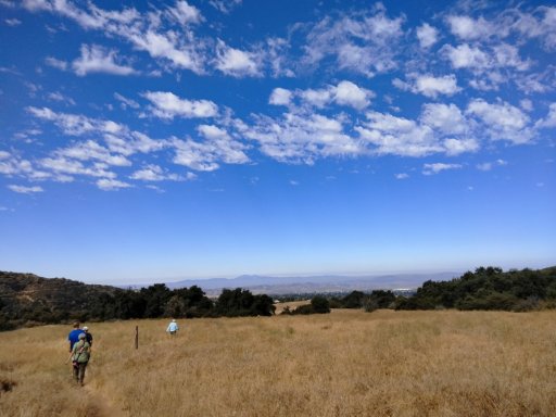 Wildwood-Canyon-25-Summer