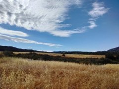 Wildwood-Canyon-26-Summer