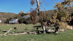 Wildwood-Canyon-43-Fall