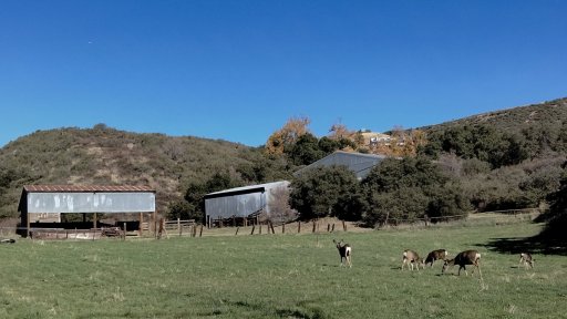 Wildwood-Canyon-45-Fall