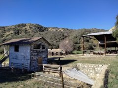 Wildwood-Canyon-48-Fall