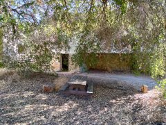 Wildwood-Canyon-50-Fall