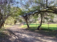 Wildwood-Canyon-54-Fall