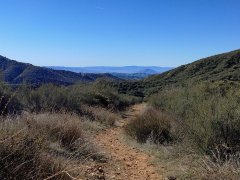 Wildwood-Canyon-57-Fall