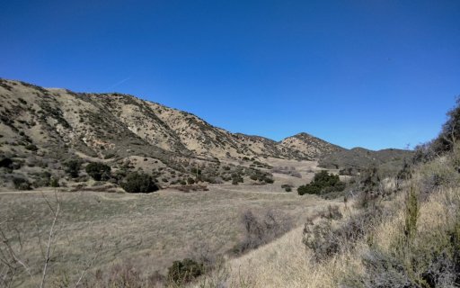 Wildwood-Canyon-58-Fall