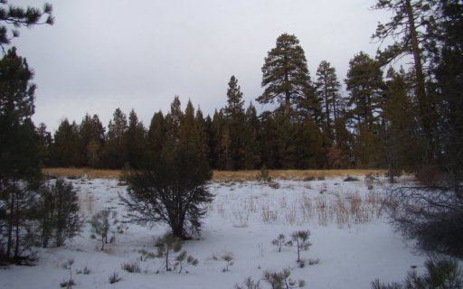 Winter-Snow-at-Big-Bear-07