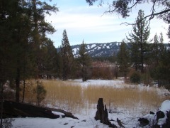 Winter Snow at Big Bear