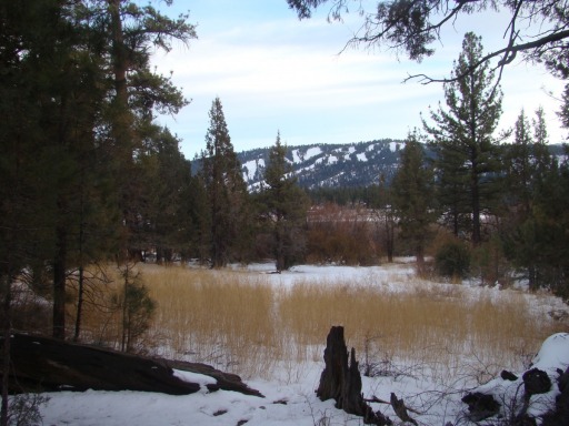 Winter-Snow-at-Big-Bear-08