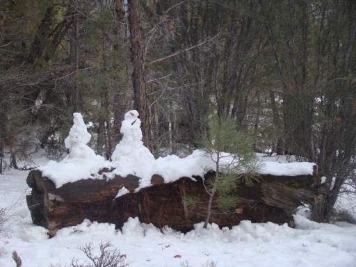 Winter-Snow-at-Big-Bear-09