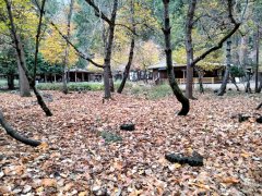 Yosemite-Late-Fall-2025-01