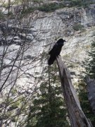 Yosemite-Late-Fall-2025-04