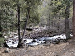 Yosemite-Late-Fall-2025-07
