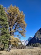 Yosemite-Late-Fall-2025-29