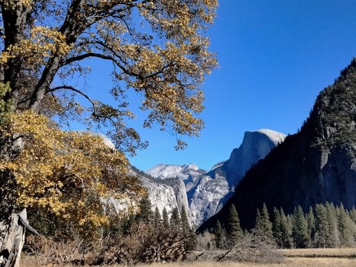 Yosemite-Late-Fall-2025-30