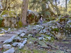 Yosemite-Late-Fall-2025-48