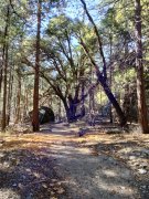 Yosemite-Late-Fall-2025-49