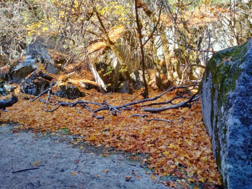 Yosemite-Late-Fall-2025-50