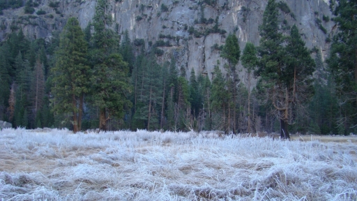 Yosemite-Valley-06-meadow-frost