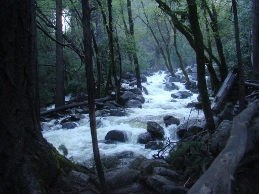 Yosemite-Valley-in-late-Spring-2019-03