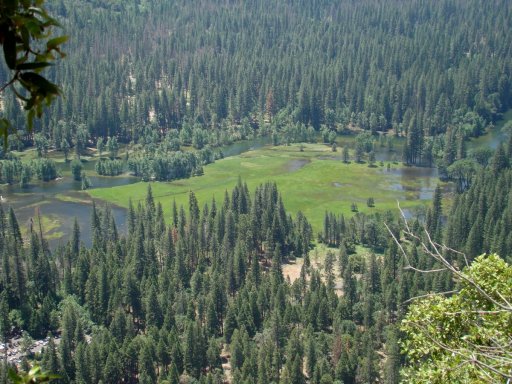 Yosemite-Valley-in-late-Spring-2019-09