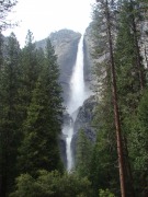 Yosemite-Valley-in-late-Spring-2019-21