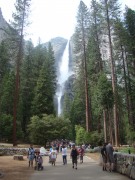 Yosemite-Valley-in-late-Spring-2019-22