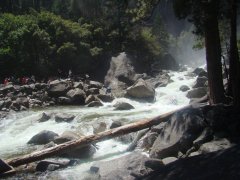 Yosemite-Valley-July-2023-05