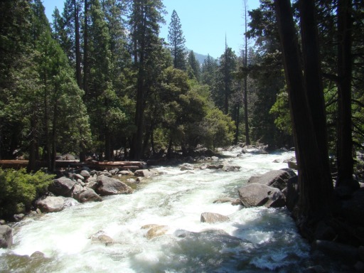 Yosemite-Valley-July-2023-06