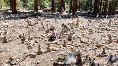 Yosemite-Valley-July-2023-07