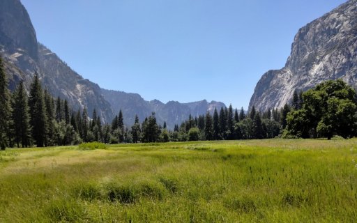 Yosemite-Valley-July-2023-18