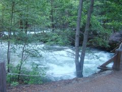 Yosemite-Valley-July-2023-30