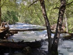 Yosemite-Valley-July-2023-31