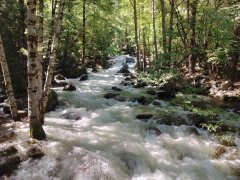 Yosemite-Valley-July-2023-36